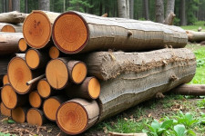 Не колотые дрова, или почему целые поленья всё ещё в ходу