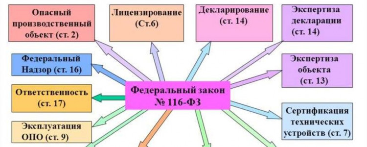 Все, что нужно знать о размере футбольных ворот в большом футболе