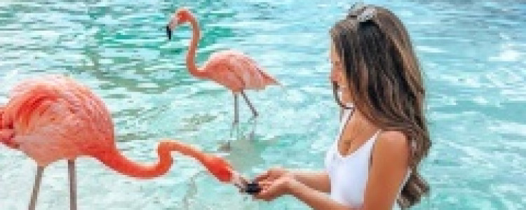 Фотосессия в Доминикане — райское наслаждение наяву!