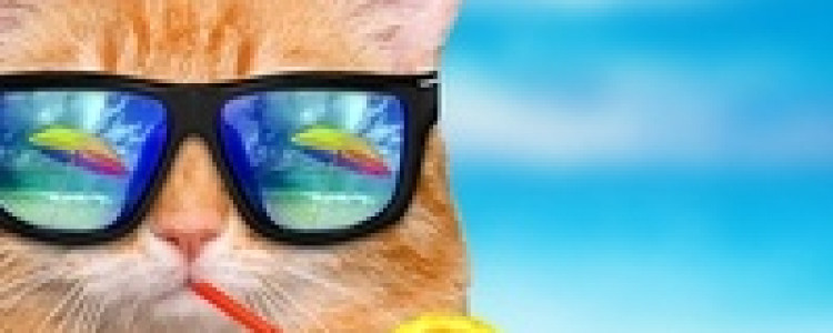 Отпуск мечты с otpusk.com